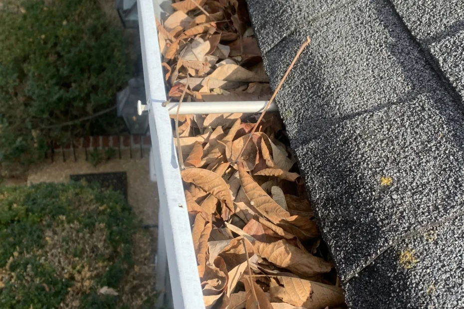 Gutter Cleaning Seminole FL