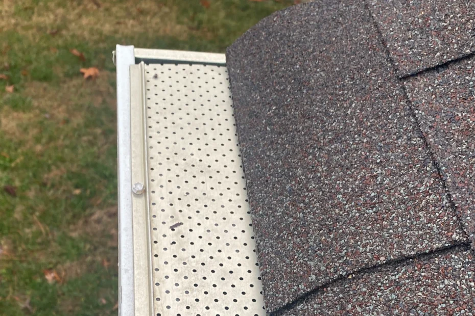 Gutter Cleaning Seminole FL