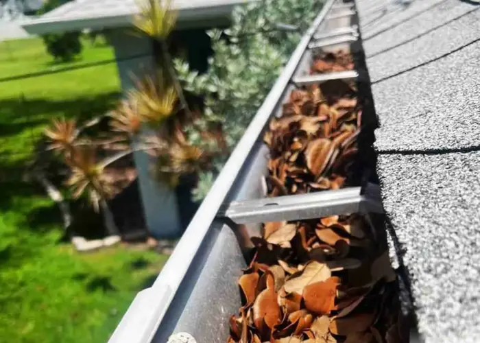 Gutter Cleaning Seminole FL home page